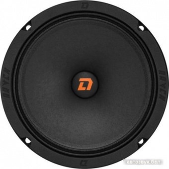 Среднечастотная АС DL Audio Raven 165