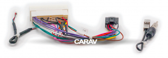 CARAV 16-005