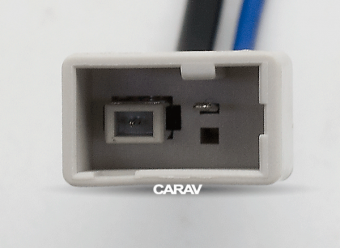 CARAV 13-002