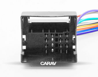 CARAV 12-004
