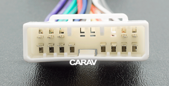 CARAV 12-010
