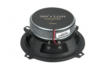 Акустическая система SKYLOR EVO5