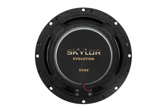 Акустическая система SKYLOR EVO6