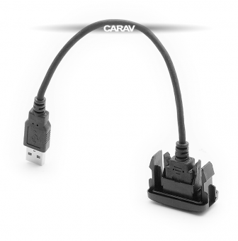 CARAV 17-003